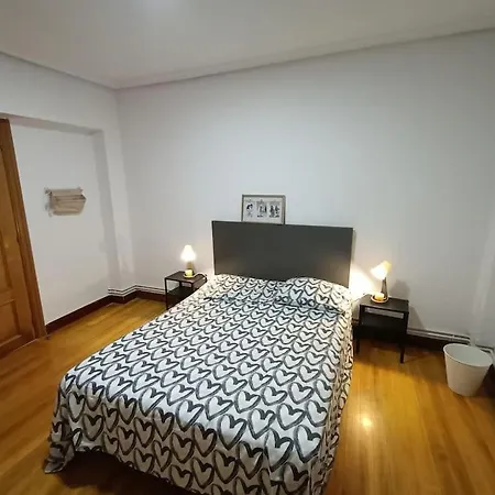 Apartamento Familiar Gran Bilbao * 巴绍里